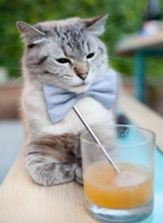 开云在线直播-“校园足球赛绽放青春活力，青少年的梦想在绿茵场飞扬”，青少年校园足球赛口号