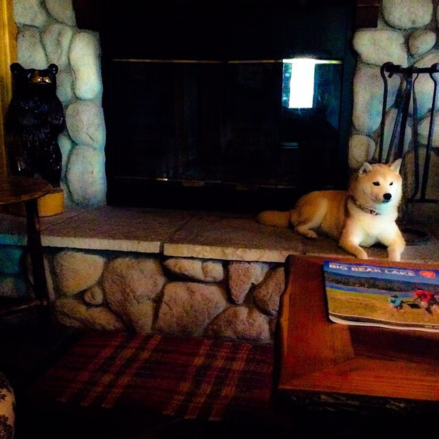 开云APP-东亚杯中国女足惨败 球员技战术需提升，中国女足再战东京