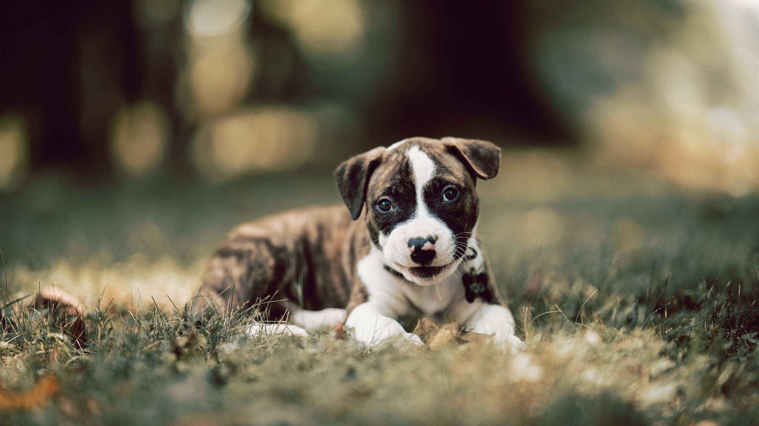 开云中国大陆-中国足球俱乐部加强球员个人发展教练配备，中国足球队员规划