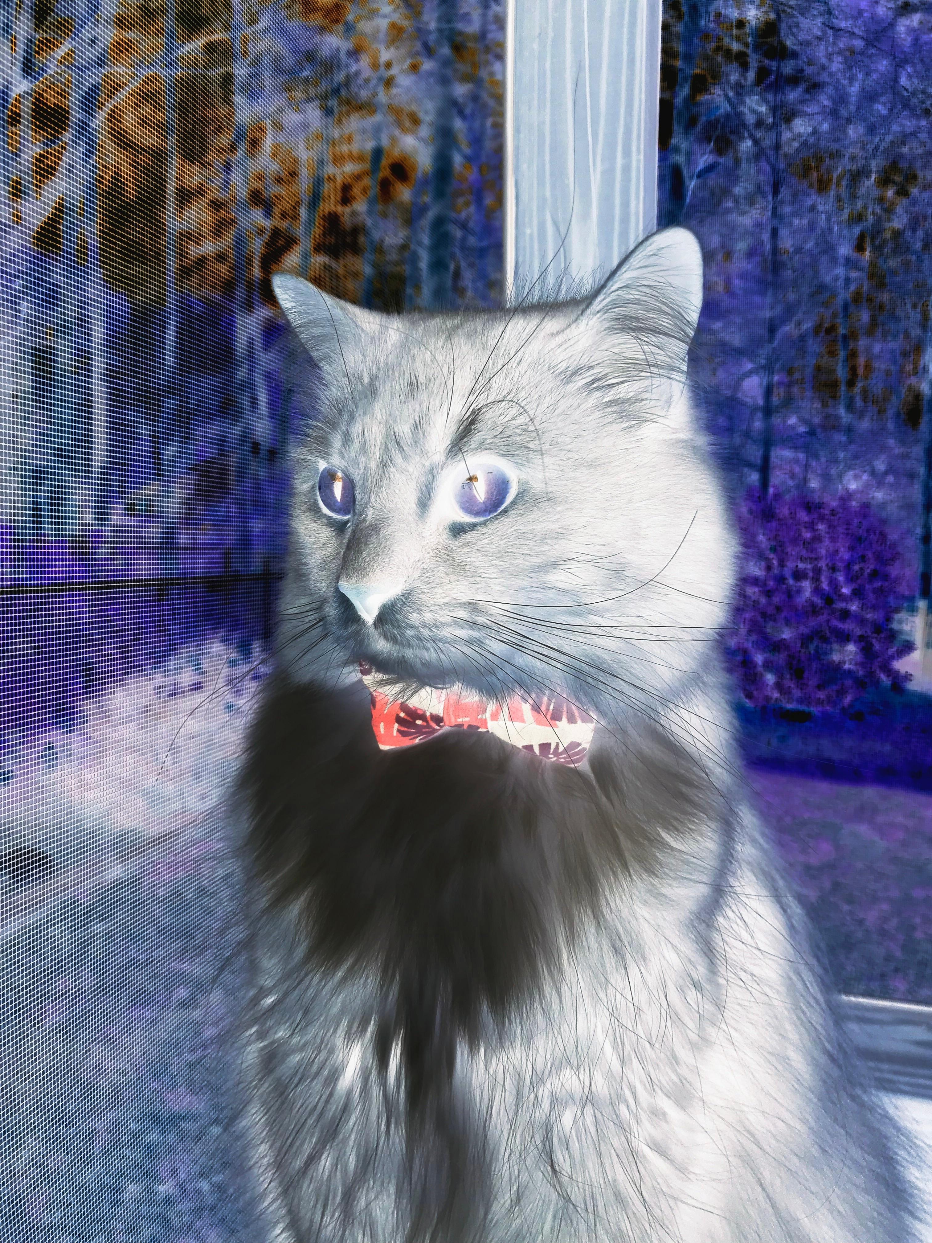 开云体育网页版入口-阿莱克西赛场表现获教练点赞，阿莱克西雅