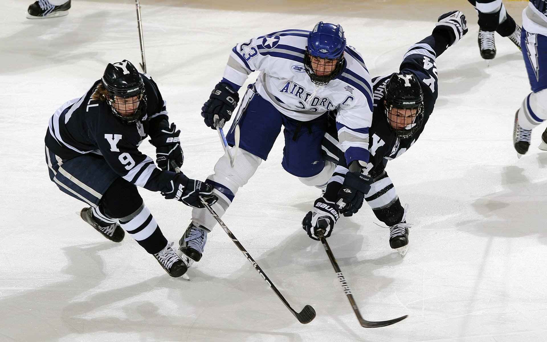 开云体育登录网站入口-“英超争冠局势升温，榜首战胜负关系排行榜走势”，英超各项赛事连胜纪录